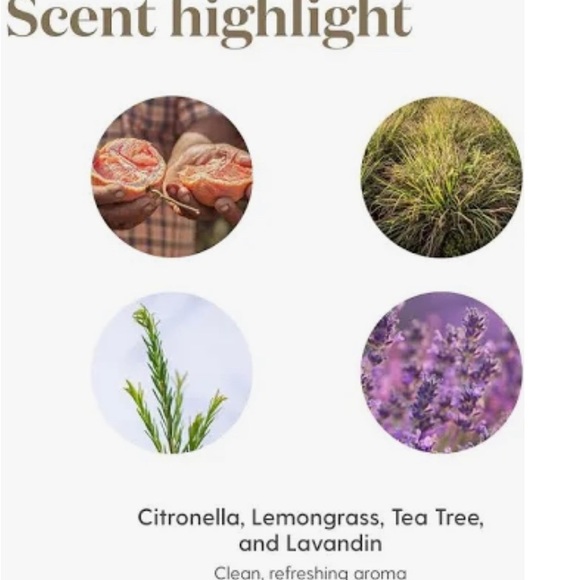 Young Living Purification Essential Oil 15 ml - Picture 2 of 2